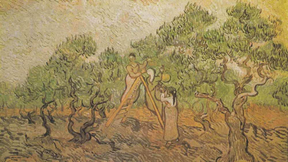 Pintura olivos