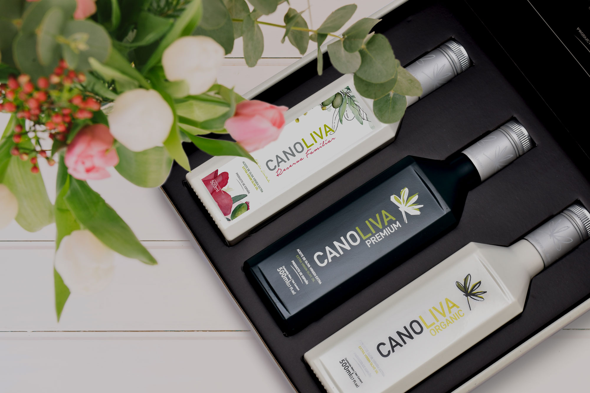 Inicio • Aceites Canoliva