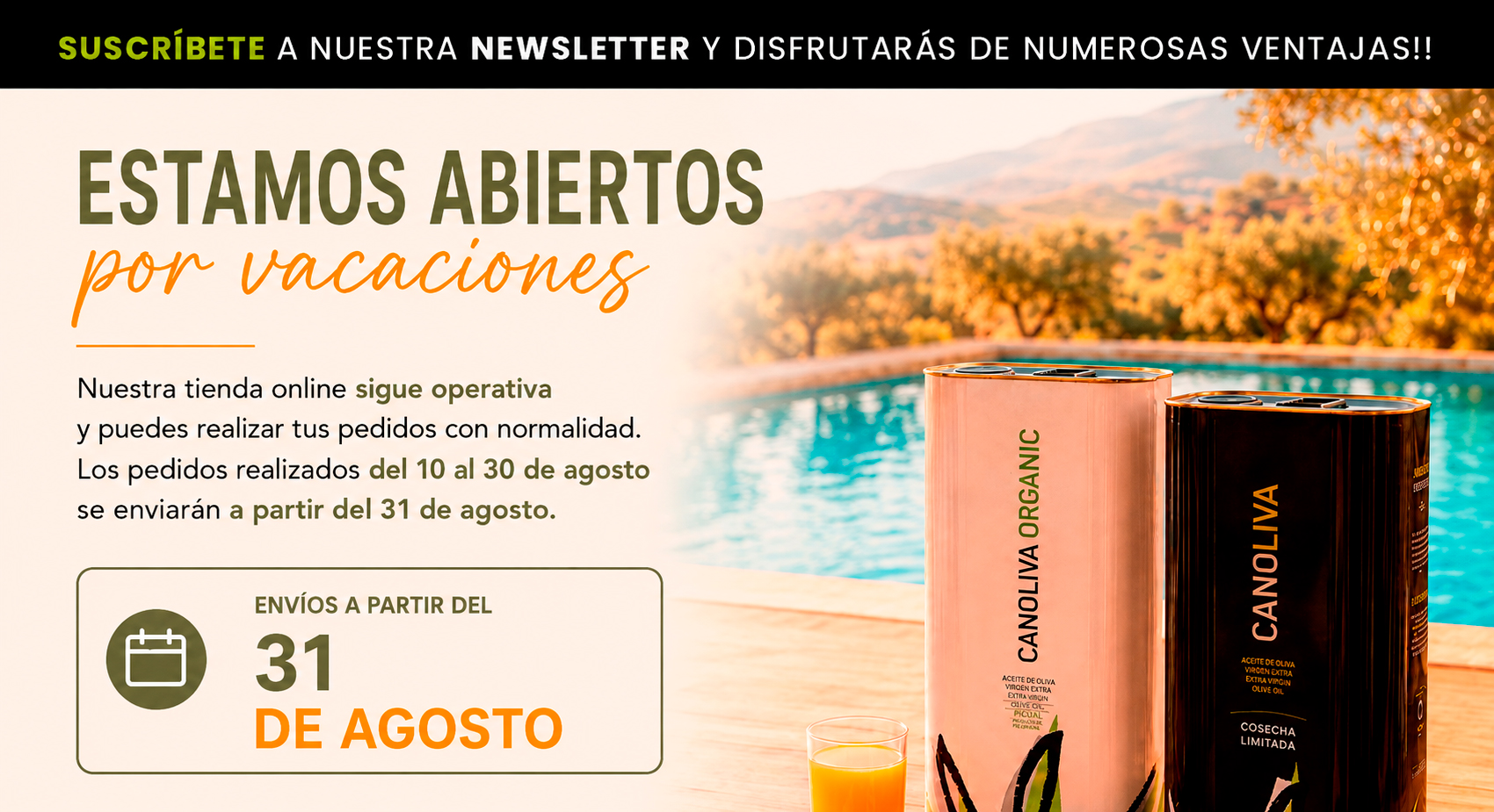 Newsletter Verano