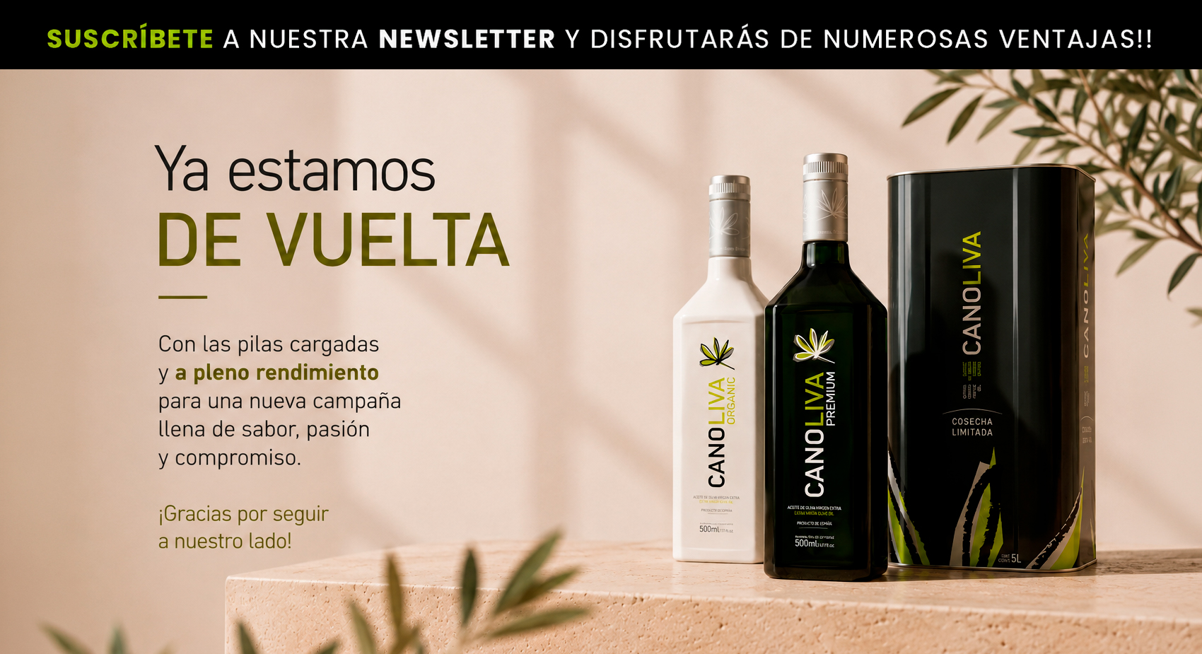 Newsletter Verano