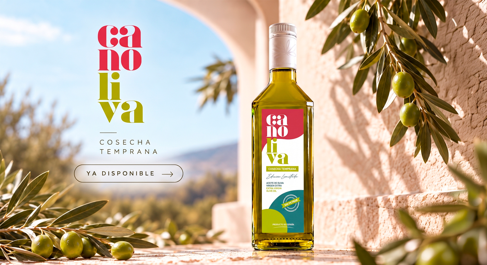 Newsletter Verano