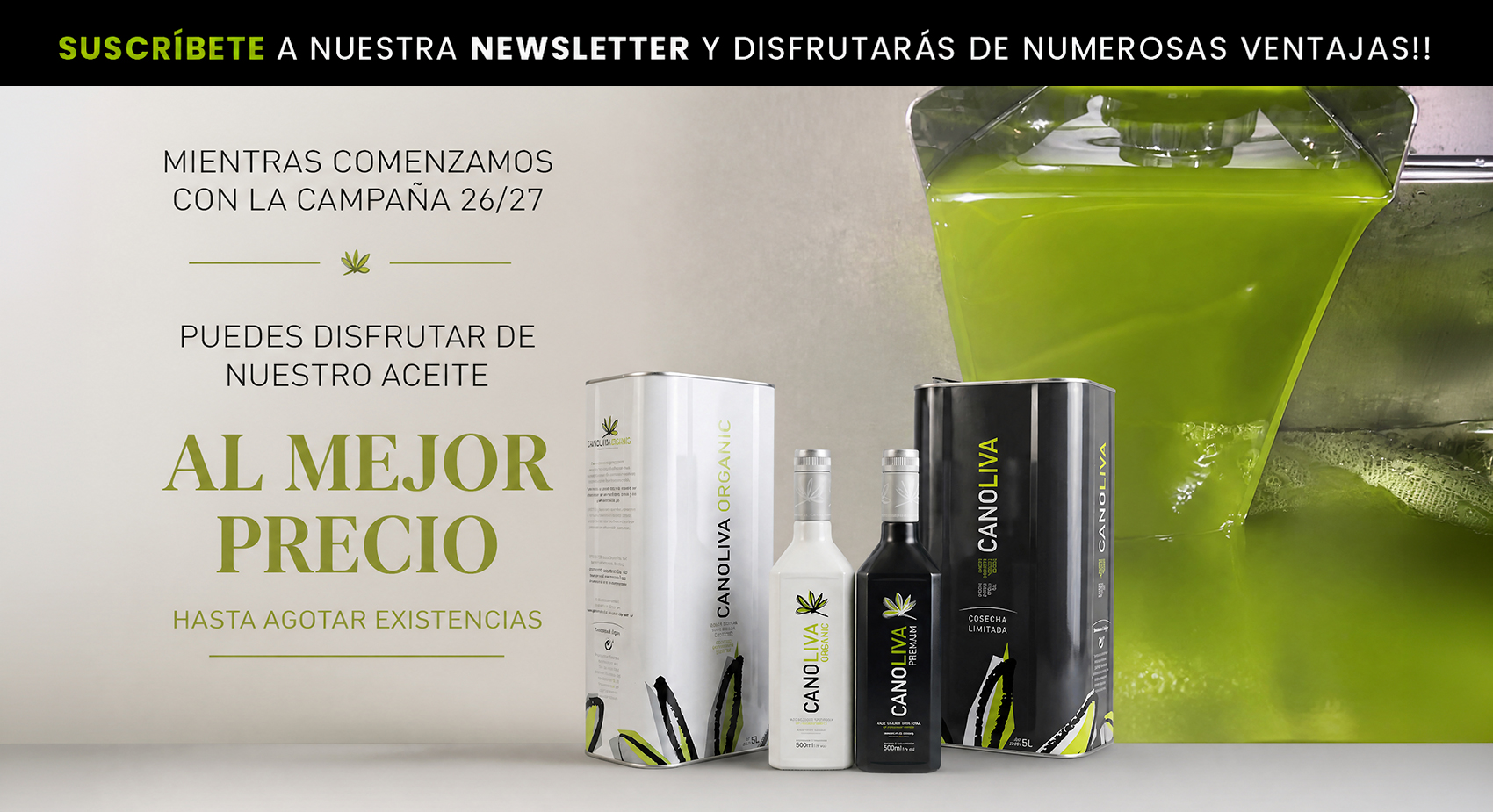 Newsletter Verano